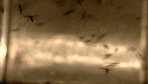 靠搞笑登上《nature》封面，他戴着马桶圈领“诺奖”