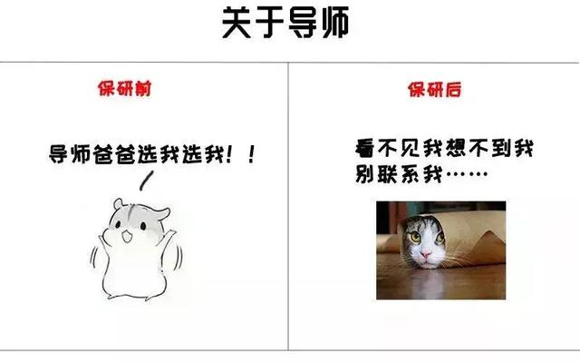 为什么?老师要保研的学生,而不要考研的学生,如何看待这一现象