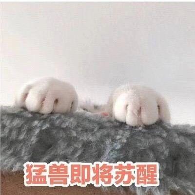 ͦлȺͷ˿ֻЬˡ