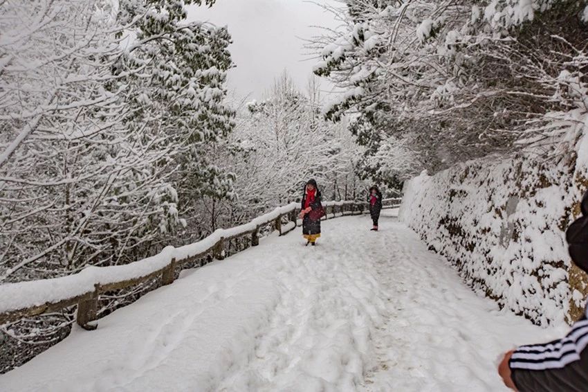 冬季到九皇山,雪景照这样拍,让你美十倍!