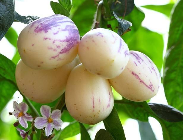 「一城一味」:“马踏飞燕”的武威,揭开一代历史名城的文化年