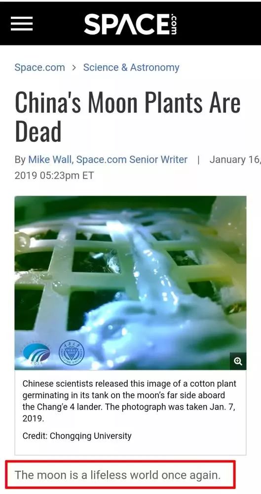 月球上第一株植物死亡悬疑