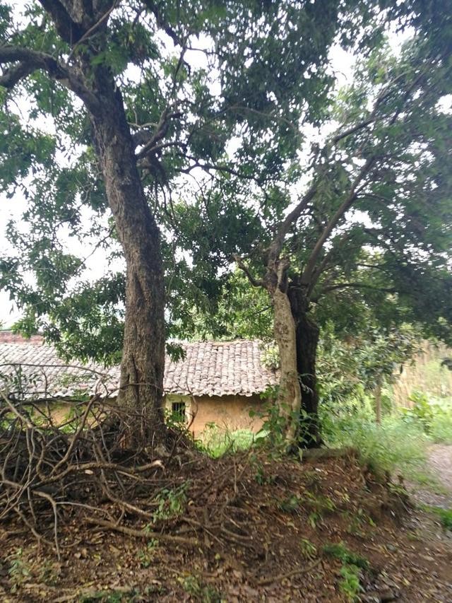 “格木桥村”地名的由来