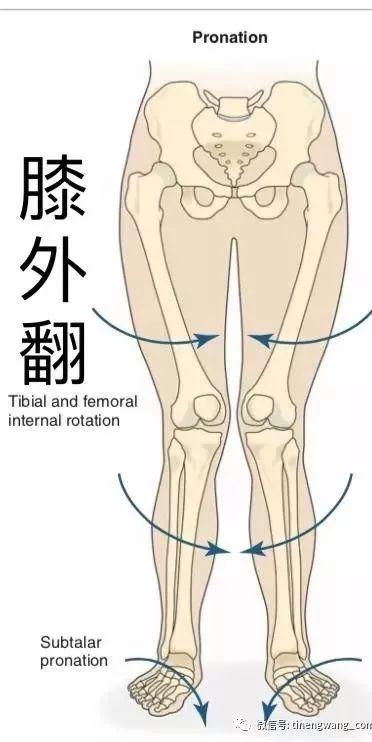 秀智的脸胖成150斤，但这90斤的脚脖子也太秀了吧