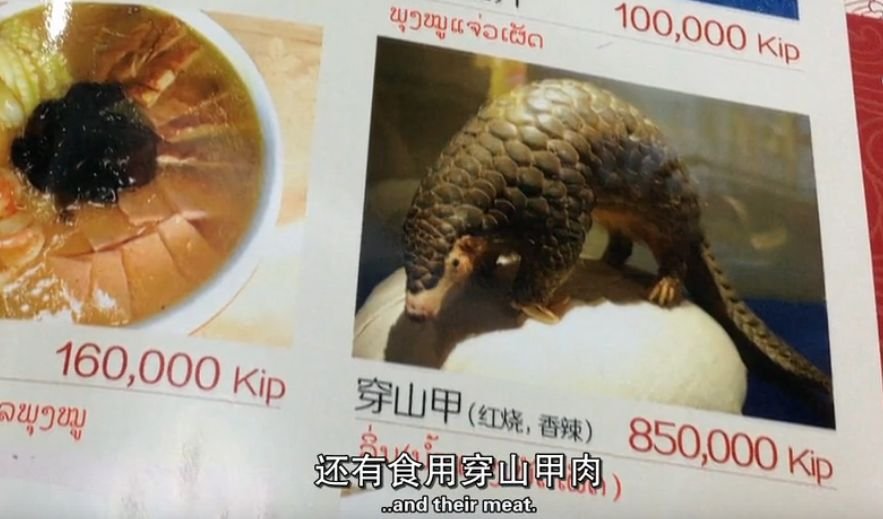 ûΪһ᣿