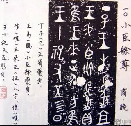 小臣艅铜犀尊:中国青铜器的象征(现藏于旧金山亚洲艺术博物馆)