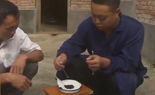 比黄金还贵的麝香是怎么来的?传统摘取方式血腥残忍