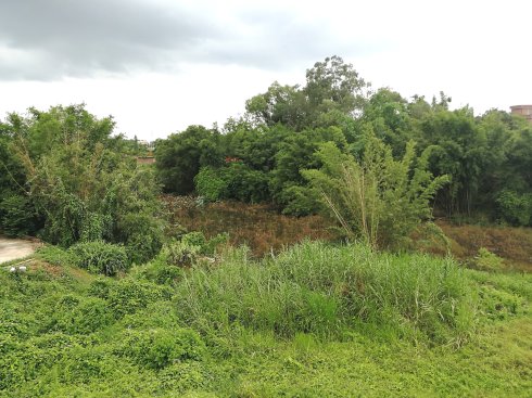 罗定市上宁村格木桥村梁氏始祖及发源地