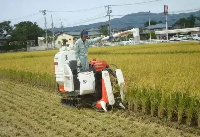 小型农业机械在日本比较盛行, 操作方便,成本低, 但是完全可以满足