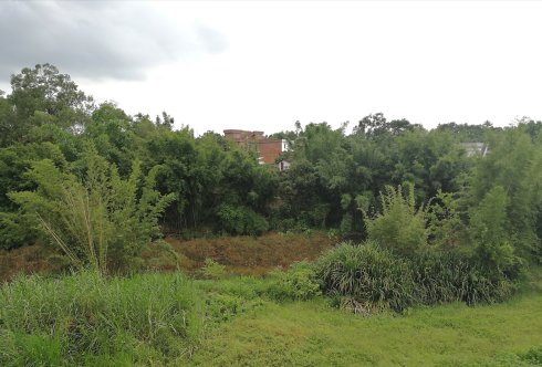 罗定市上宁村格木桥村梁氏始祖及发源地