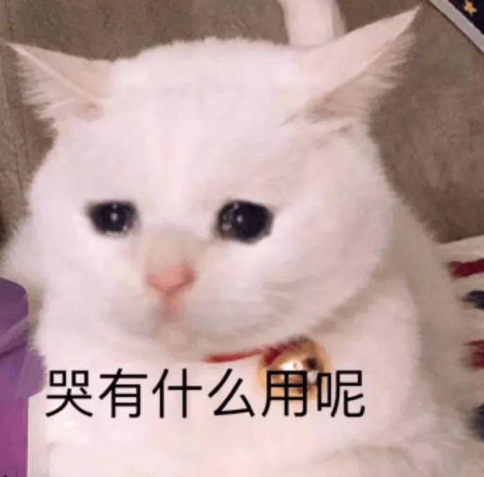 ҵսƻʼǱ