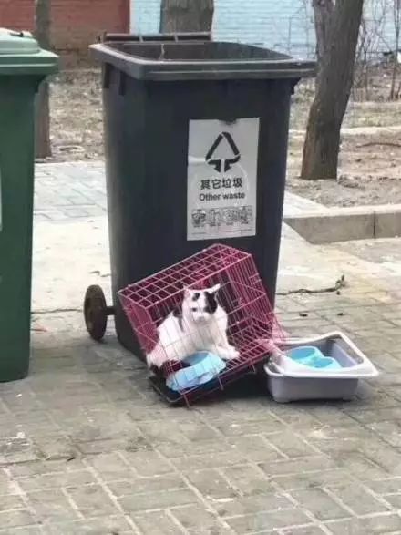 今年回家，我不再是一个人了！