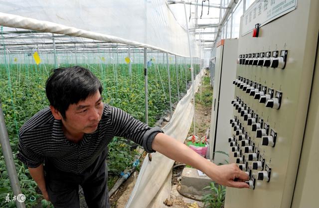 果头领 | 水溶肥知识大全 