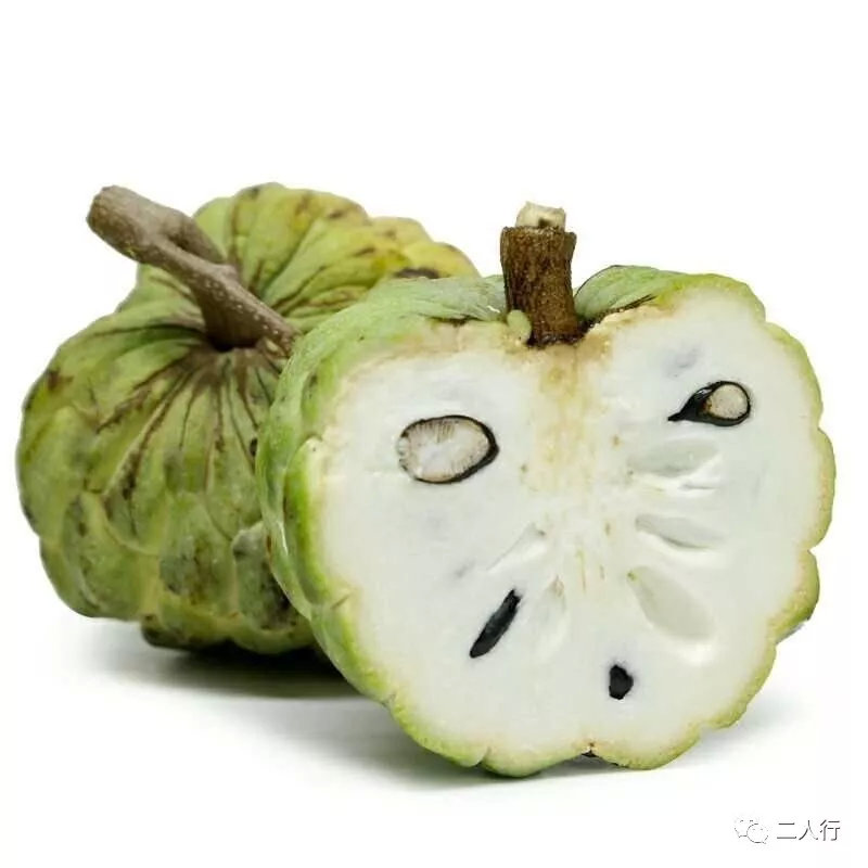 番荔枝又名释迦