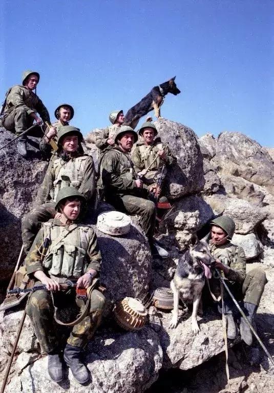 苏联都仿制装备!中国56式胸挂开启世界携行具新时代!