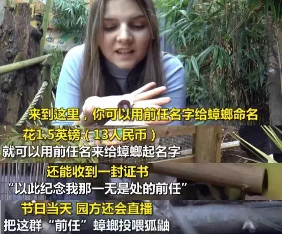 互联网时代的爱情有多野