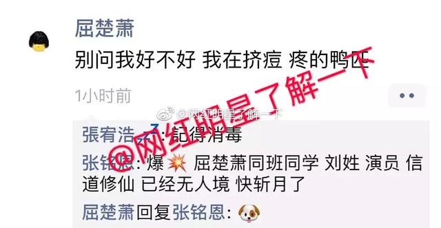 屈楚萧的大学毕业照,一眼看到了“应勤”,合照里他居然是最帅的