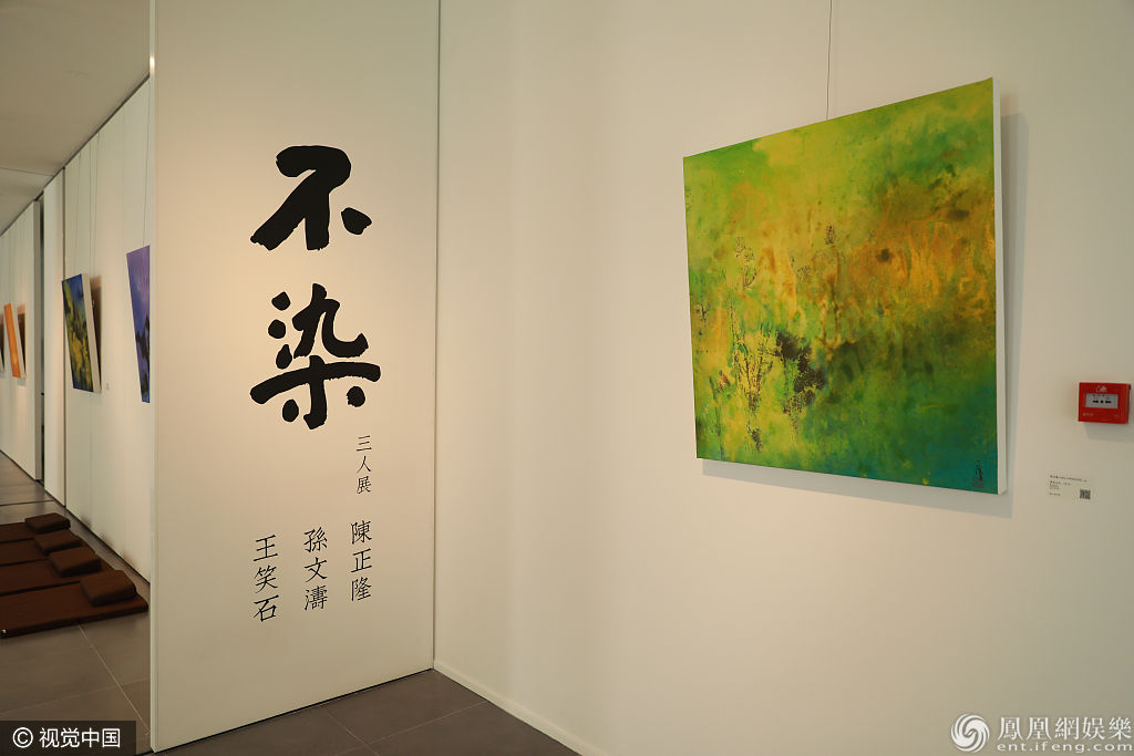 阿雅茶话分享会气质优雅 骨裂带伤亮相幽默自嘲“机械战警”