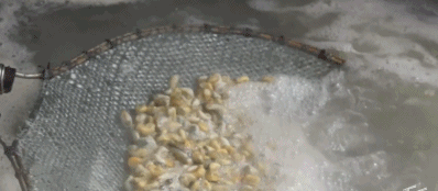 Netflix买下的首部中国美食纪录片：没吃过潮汕菜，人生不完整。