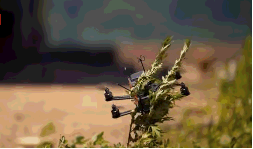 撞机、落网、掉水里，超高的报废率才是无人机竞速赛的速度与激情