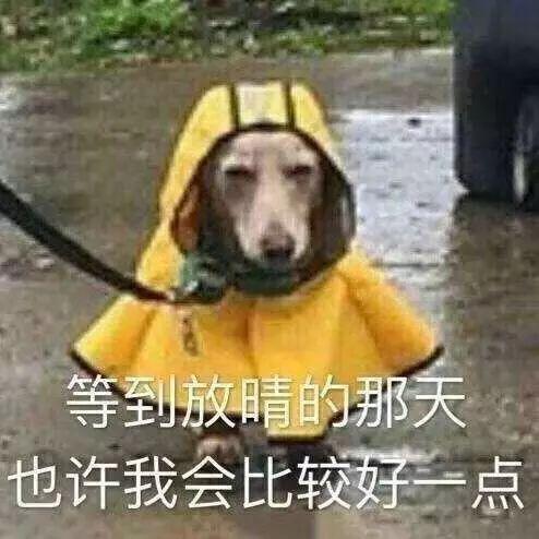 佟丽娅的脸是怎么了，一笑咋崩成这样了呢？