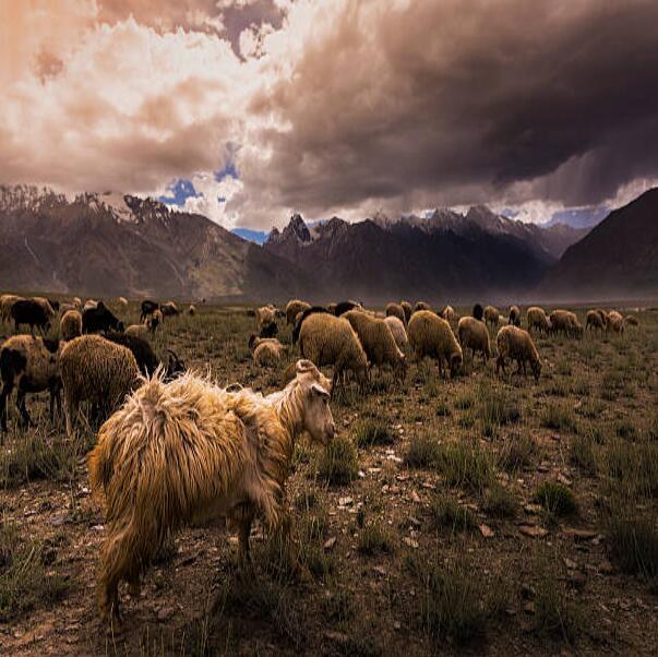 印控克什米尔的拉达克:看了你就知道它有多美