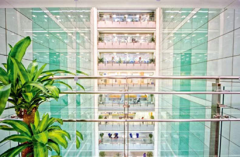 中关村，理想何处安放