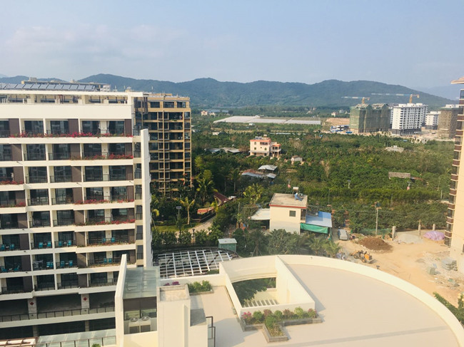 海棠花开俯瞰图_副本.jpg