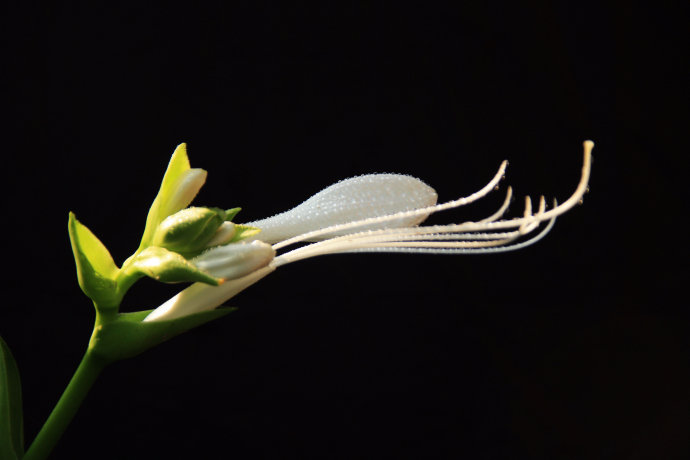 8ced83566a414dc7b45a7a765a495563.jpg