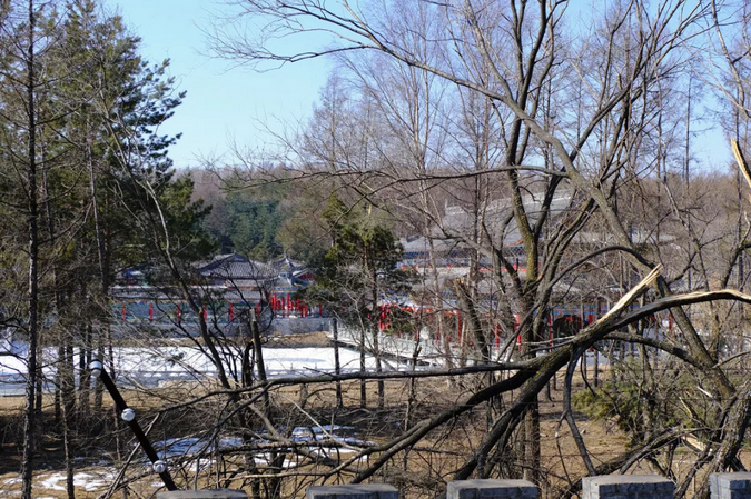 站在曹园的围墙上,可清晰看到里面规模惊人的建筑群。