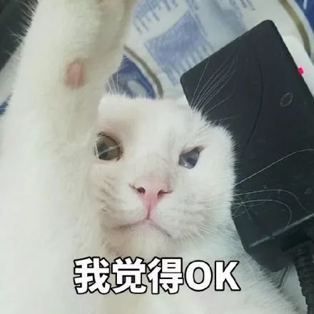 为什么女人整形花样多，男人整形却只有两个方向？