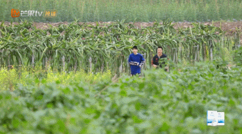 看来大家对他有点“误解”啊？