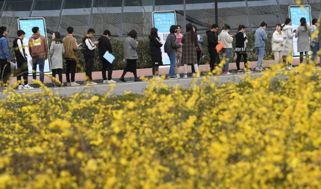 互联网新人待价而沽