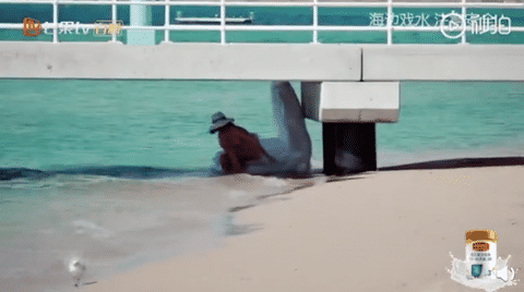 谢娜被海水冲走呼救无人应，同行妻子团表情亮了！