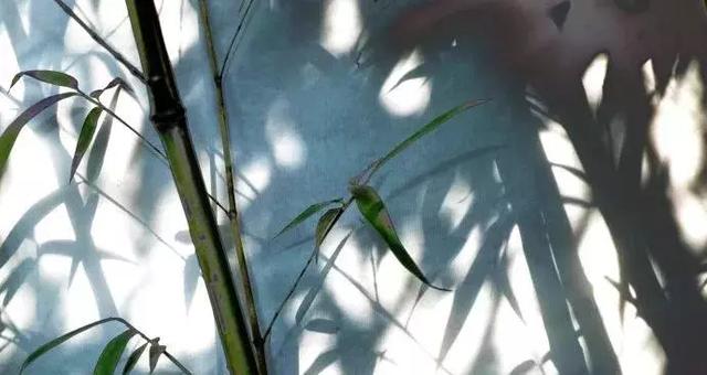 又见风清与月白