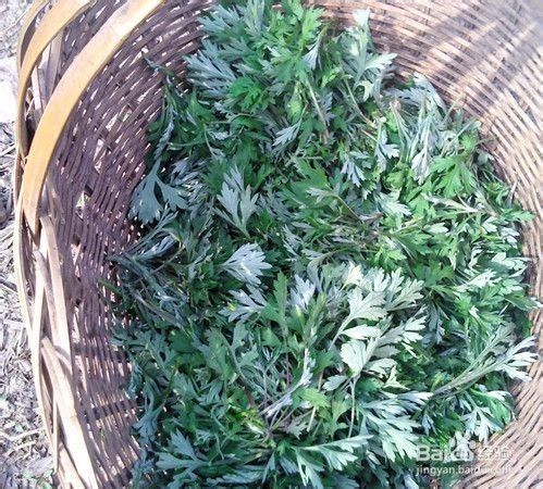 8a559000d73b430480887f7a8b72a578.jpg 8a559000d73b430480887f7a8b72a578.jpg