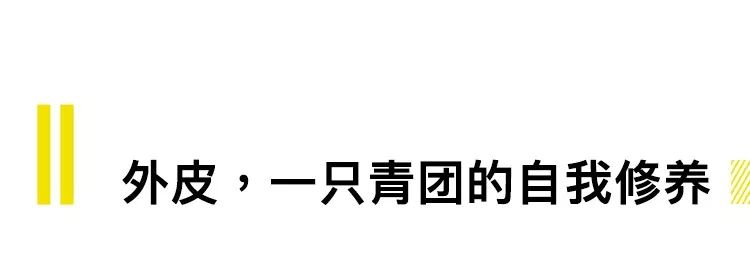 一颗小小的青团，凭什么让整个上海为之疯狂？