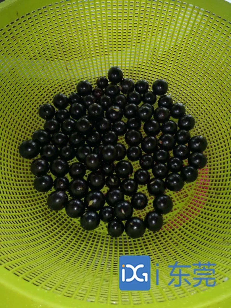 EE9B792937A6E066CF038F575662A1A692ABD7A3_size277_w960_h1280.jpeg