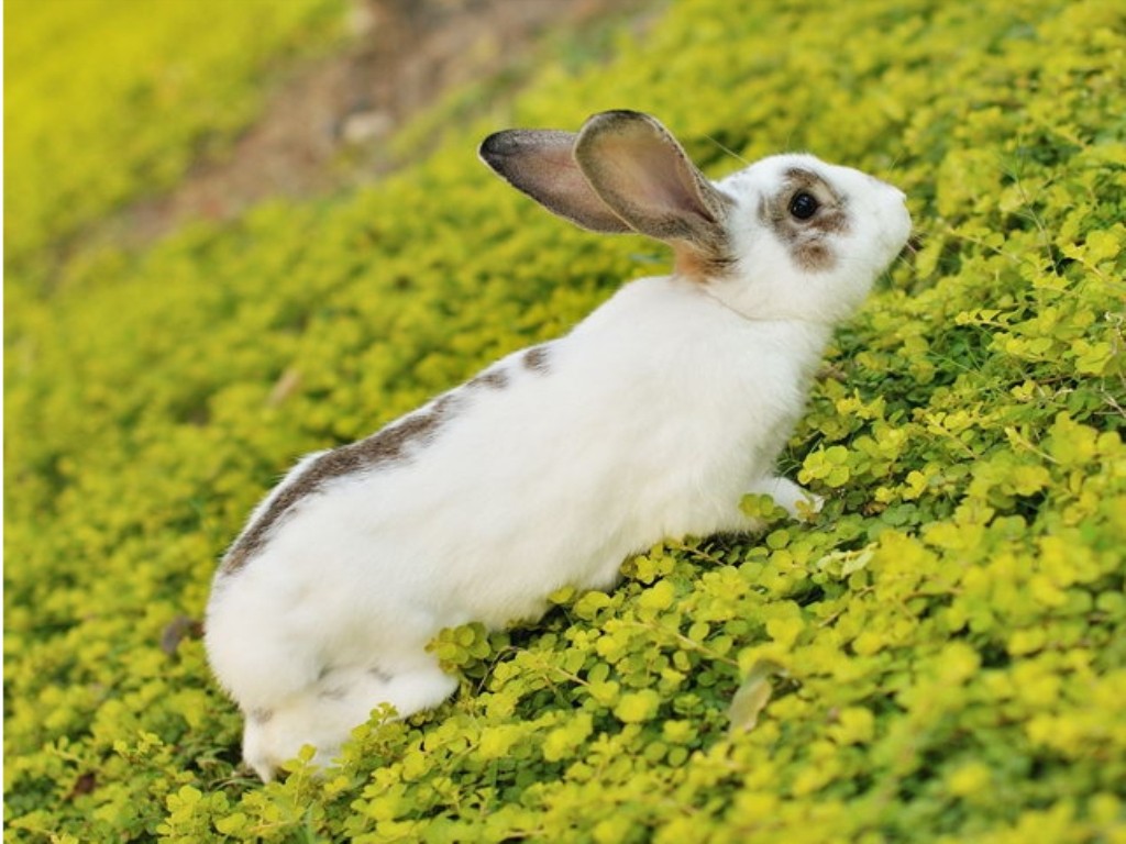 bb8bee973d3442b994d0d1fc9725d2b3.jpg bb8bee973d3442b994d0d1fc9725d2b3.jpg