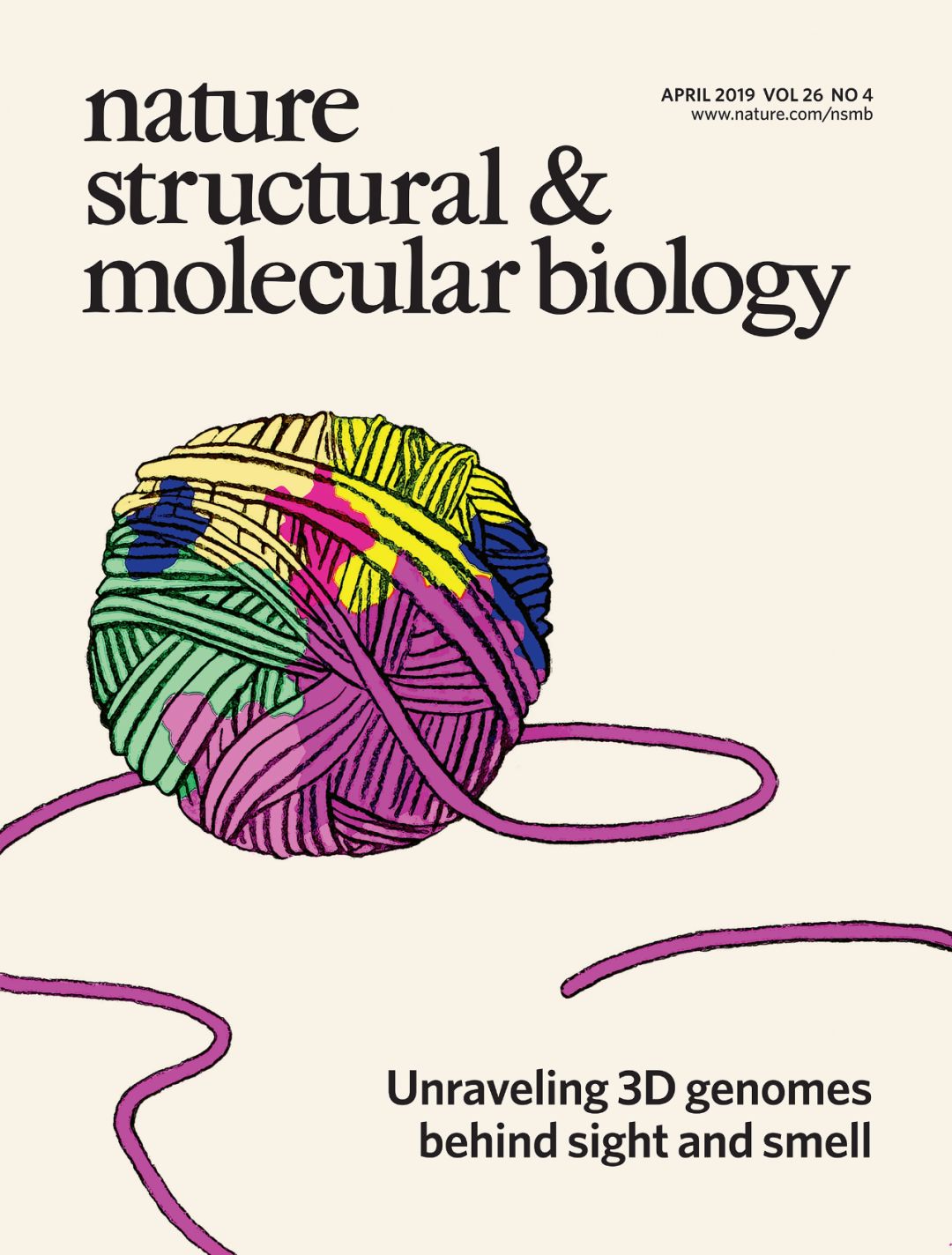 nature子刊 谢晓亮团队成功重建单个感觉神经元3d基因组结构