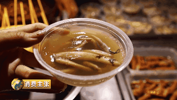 吃虫的广东,无奇不有