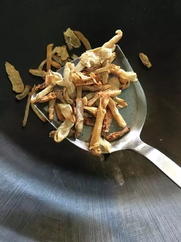 吃虫的广东,无奇不有