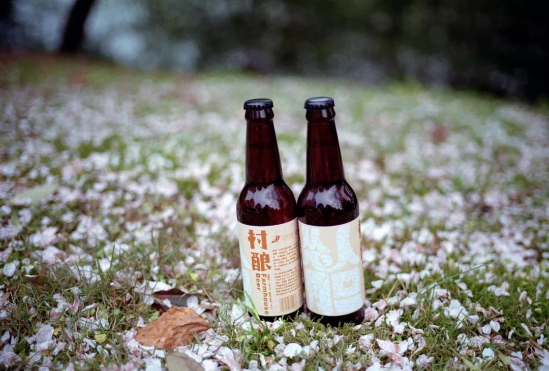 从音乐节、戏剧节等场景切入，精酿啤酒品牌「怂人胆」获百万元天使轮融资｜早起看早期