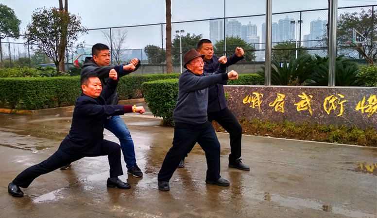 峨眉派武医名家郭程湘回家乡为武医寻根 滚动 第2张