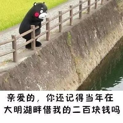 ofo竟然还钱了？ | 唠氪儿