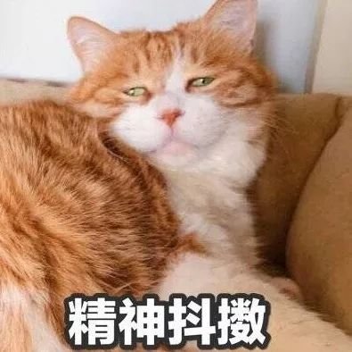 当众剃头、怒砸狗仔车窗的国民女神被亲爸药物控制？粉丝都认不出的脸怎么了！