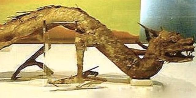 中国十大传闻之一,1934年营口坠龙事件完整揭秘始末