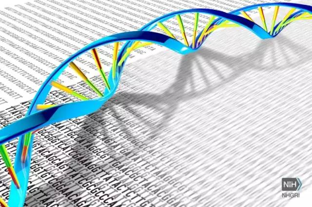 dna测序是确定dna(脱氧核糖核酸)中核苷酸顺序的过程.