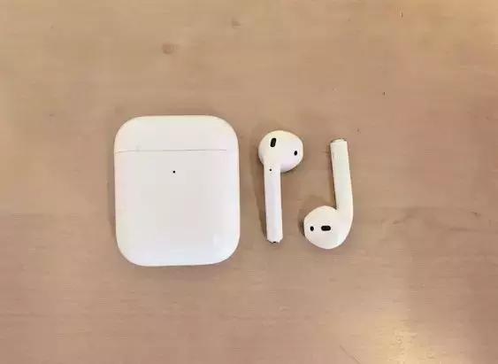 人类的本质到底是什么？