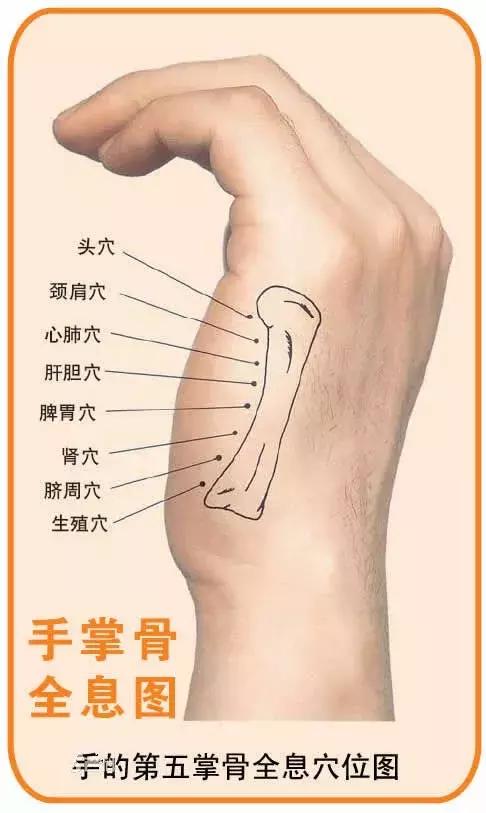 看懂这张图,穴位不用找(人体全息图)